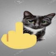 SuchoJara's Stream profile image