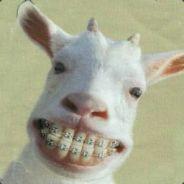 robertinho's - Steam avatar
