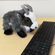 Goatkeeper's Stream profile image