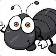 ClémentBelleFourmi(Dieu)'s Stream profile image