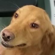 !!!'s Stream profile image
