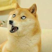 Dogge's Stream profile image