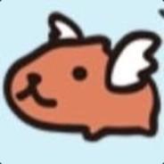 英雄天竺鼠's Stream profile image