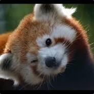 xFazerekt's Stream profile image