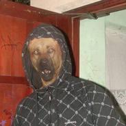 Bongalonga's Stream profile image