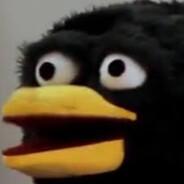 Poplop's Stream profile image