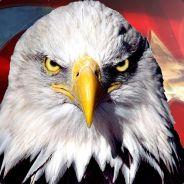 KTZ-EliteQEagle's Stream profile image