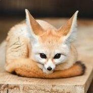 PremeditatedDefeat's - Steam avatar
