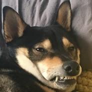 oceaningabyss's Stream profile image