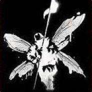 Frozen inside's - Steam avatar