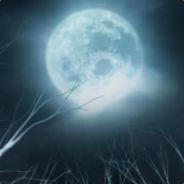 Meh's Stream profile image