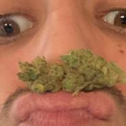 Cocaincowboy's Stream profile image