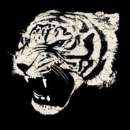 G2's Stream profile image