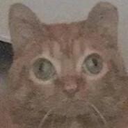 TEPPLEBIUSTAH's Stream profile image
