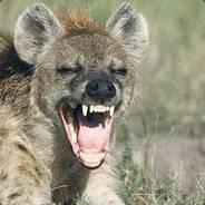Thorruss's Stream profile image