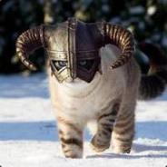 DinoTimo's Stream profile image