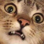 CadaDiaMasSoloLiteral's Stream profile image