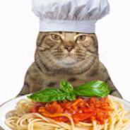 Mario Fetuccini's Stream profile image