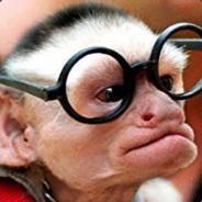 Beelro's Stream profile image