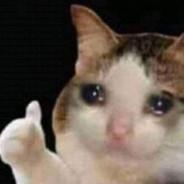 JAKKESS's Stream profile image