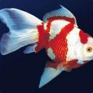 Proxy?'s - Steam avatar