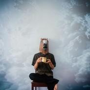 AceVenti's Stream profile image