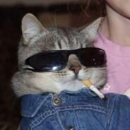 keepbeesaway's - Steam avatar