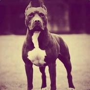 Myčl's Stream profile image