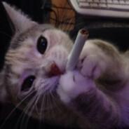 Buhayuuuuu's Stream profile image