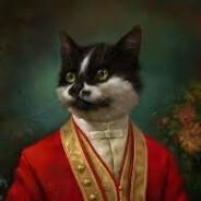 Napalism's Stream profile image