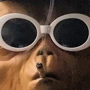 MICROCEFALIA's - Steam avatar