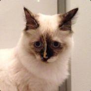 rawwsie's Stream profile image