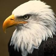 EAGLE's - Steam avatar
