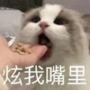 小猫你可以吃芝士汉堡's Stream profile image