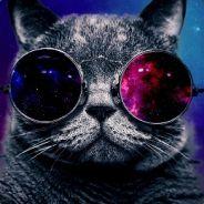 Schwebster's Stream profile image
