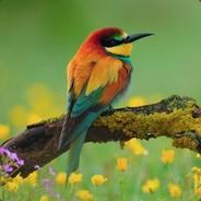 henriQ's - Steam avatar