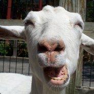 DREAM`ZOOR's Stream profile image