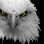 Fricia's Stream profile image