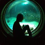 confusedemily's Stream profile image