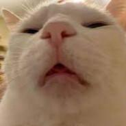 toantlieee@142's Stream profile image