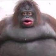 SSchtinky's Stream profile image