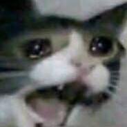 Candis_Aldo's Stream profile image