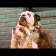 MrBeefee's Stream profile image