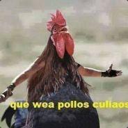 Abuela Tactica's Stream profile image