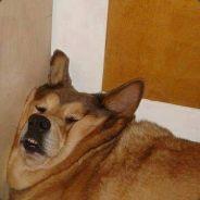Jyri's - Steam avatar