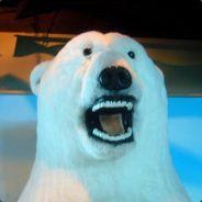 Roaring Thunder's Stream profile image