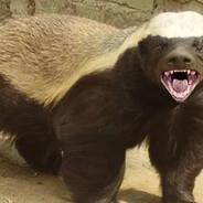 Honey Badger's - Steam avatar