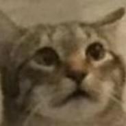 butmik's Stream profile image