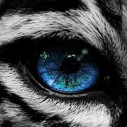 Strayder0's Stream profile image