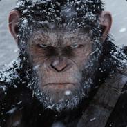 Mooki's - Steam avatar